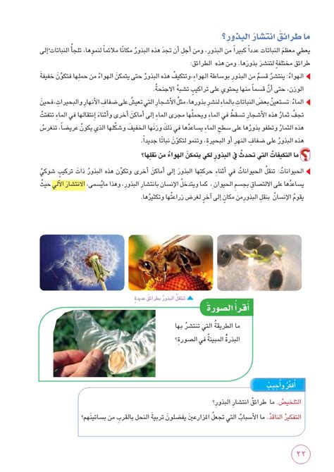 ما الدور الذي يلعبه النحل في عملية التكاثر لنبات كاسيات البذور؟