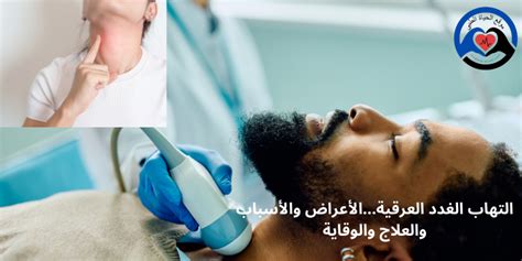 ما الذي لا تنتجه الغدد العرقية؟