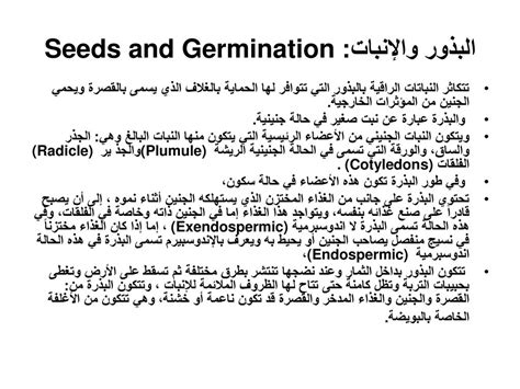 ما الذي لا ينتمي إلى البذرة؟