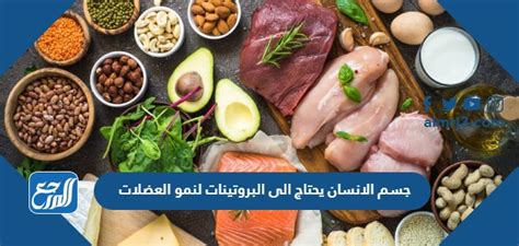 ما الذي يؤدي إلى نقص البروتينات في جسم الإنسان؟