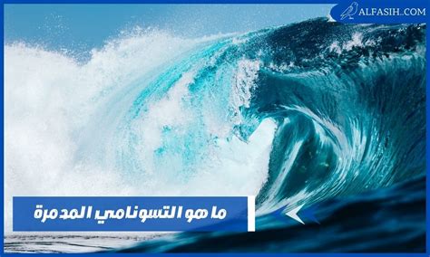 ما الذي يخلق الأمواج