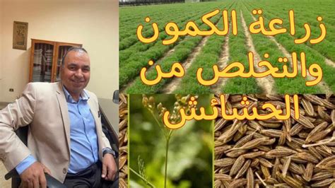 ما الذي يدفع البعض للتخلص من الحشائش؟