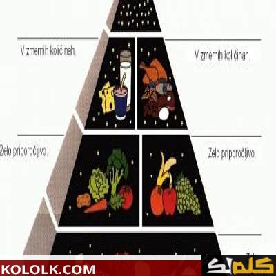 ما الذي يدل على وجود الدهون والسكريات في قمة الهرم الغذائي؟