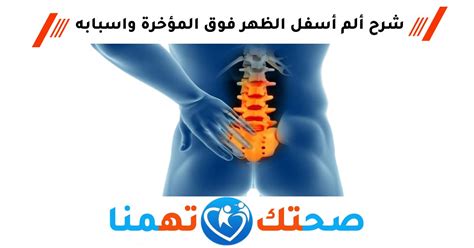 ما الذي يسبب آلام الظهر على المؤخرة