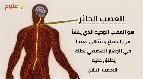 ما الذي يسبب بعض اضطرابات العصب المبهم؟
