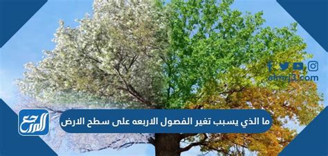 ما الذي يسبب تغير الفصول الأربعة على الأرض ما الذي يسبب تغير الفصول الأربعة على الأرض