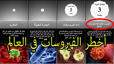 ما الذي يصف جميع أنواع الفيروسات