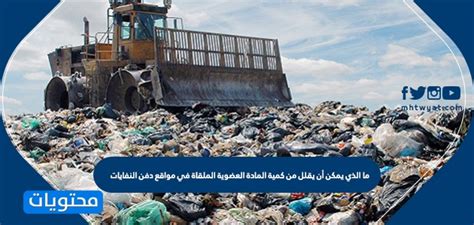 ما الذي يمكن أن يقلل من كمية المواد العضوية التي تذهب إلى المكب؟