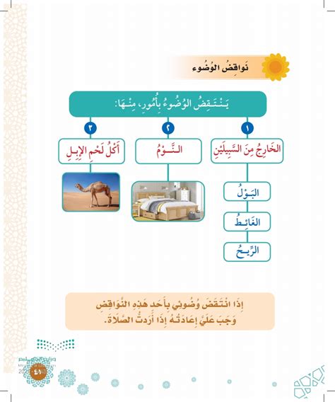ما الذي ينقض الوضوء بأكل لحمه؟ ما الذي ينقض الوضوء بأكل لحمه؟