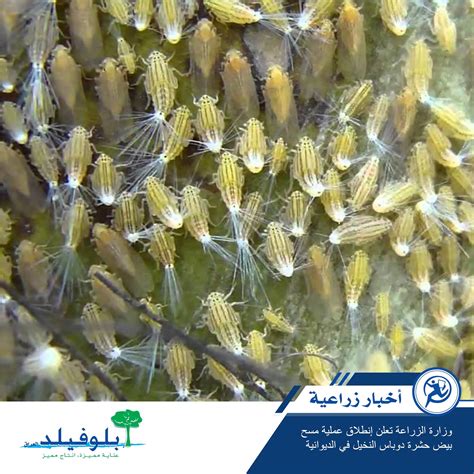 ما الضرر الذي يمكن أن يحدثه البكاء؟