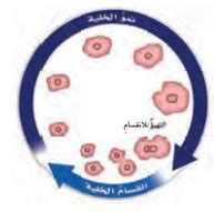 ما العمليتان اللتان استخدمتهما لحل السؤالين 1 و 2؟  اشرح ذلك؟