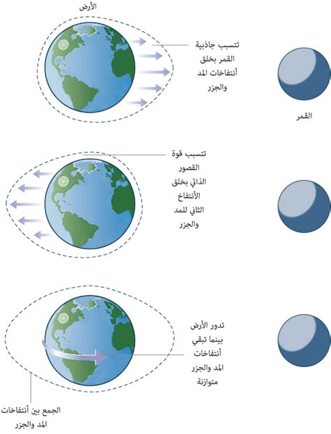ما المثالان مجتمعان، الأول للمد والجزر المنفصل والثاني للمد والجزر المستمر؟