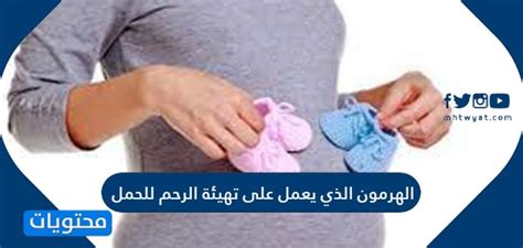 ما الهرمون الذي يعد الرحم للحمل؟
