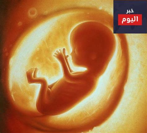 ما فائدة السائل الأمنيوسي الذي يحيط بالجنين؟