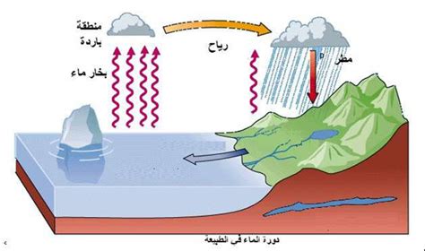 ما نوع هطول الأمطار الذي يحدث عندما تتجمع قطرات الماء على بلورات الجليد أثناء عاصفة رعدية؟ إجابة كاملة ما نوع هطول الأمطار الذي يحدث عندما تتجمع قطرات الماء على بلورات الجليد أثناء عاصفة رعدية؟ إجابة كاملة