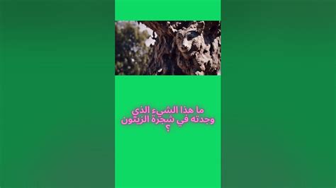 ما هذا الشيء الذي يمشي فقط بضربه برأسه؟