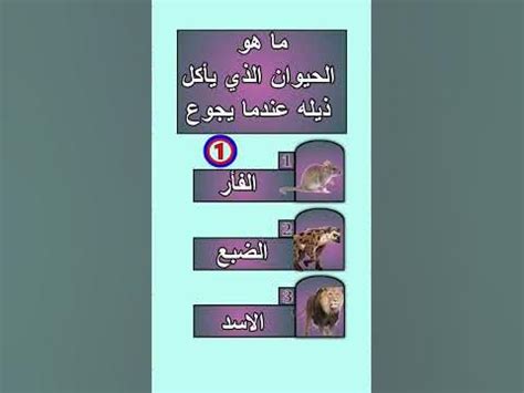 ما هو الحيوان الذي يأكل صغارها وهو جائع؟