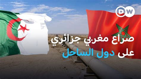 ما هو الدور الذي تلعبه الجزائر في العالم العربي؟