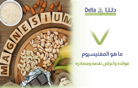 ما هو الدور الذي يلعبه المغنيسيوم في جسم الإنسان؟