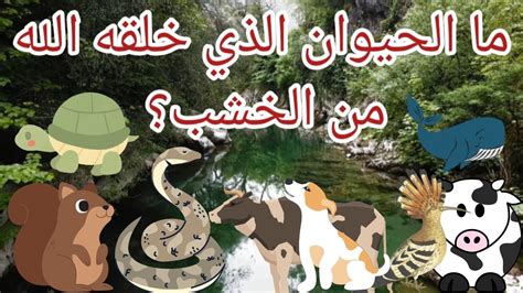 ما هو القفص الذي لا يحتوي حتى على أصغر حيوان؟