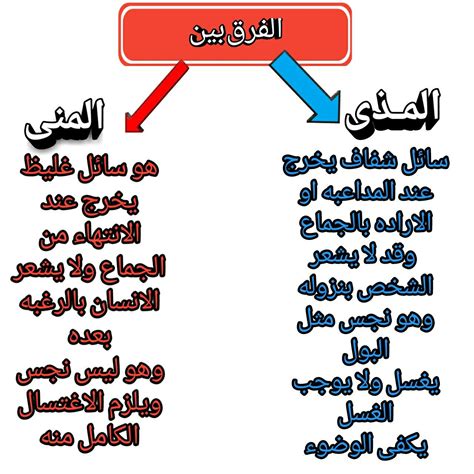 ما هو المذي من الناحية الدينية