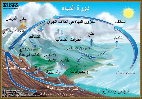 ما هو بخار الماء الذي يصعد من البحار مثل قطرات المطر