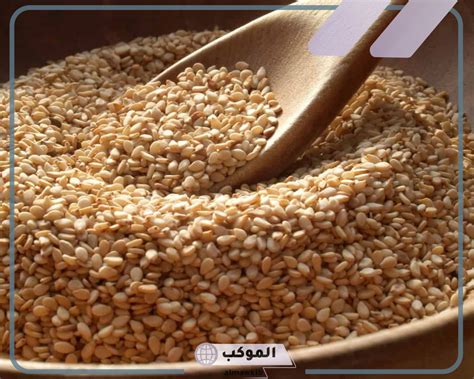 ما هو تفسير حلم بذور السمسم في المنام كامل للمرأة المتزوجة ما هو تفسير حلم بذور السمسم في المنام كامل للمرأة المتزوجة