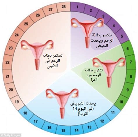 ما هو شكل الألم الذي يأتي من الدورة الشهرية القادمة؟