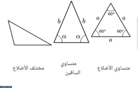 ما هو نوع المثلث الذي تكون فيه جميع الزوايا الحادة وجميع الأضلاع متساوية في الطول؟
