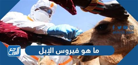 ما هي أعراض فيروس الإبل الذي أصاب منتخب فرنسا