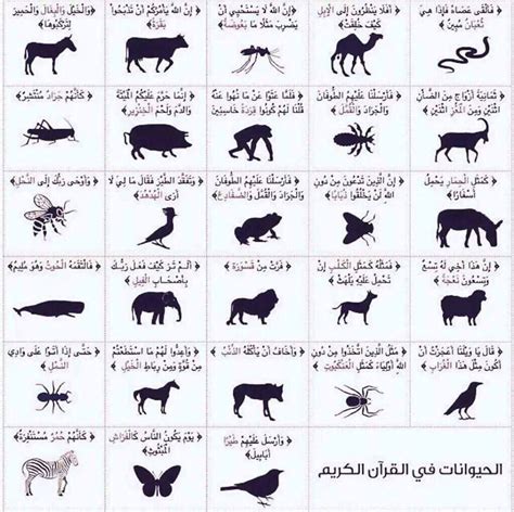ما هي أنواع الأرواح التي ورد ذكرها في القرآن الكريم؟