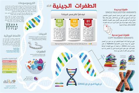 ما هي أنواع البصمات الجينية أو الحمض النووي للتغذية؟