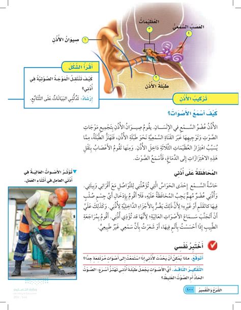 ما هي الأصوات التي تجعل طبلة أذني تهتز بشكل أسرع، أم الصوت الحاد أم الصوت السميك؟ ما هي الأصوات التي تجعل طبلة أذني تهتز بشكل أسرع، أم الصوت الحاد أم الصوت السميك؟