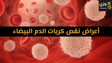ما هي الأمراض التي تسبب كريات الدم البيضاء لدى فالكون