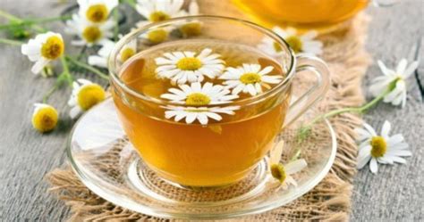 ما هي التحذيرات والاحتياطات للبابونج؟