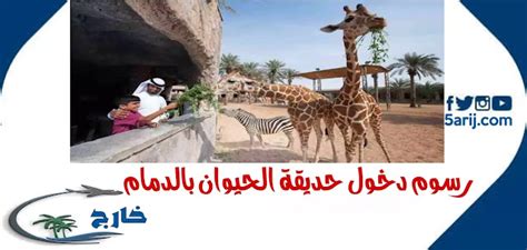 ما هي الطرق الأخرى المتاحة لمشاهدة معالم الدولة والتعرف على مدنها وقراها لمن لم يُسمح لهم بالسفر بسبب الظروف؟