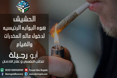 ما هي المجتمعات التي تكون فيها فئة الشباب أو الأطفال أقل من فئة الشباب والتي تسمى فيها الفئة العمرية التي تزيد عن 60 عامًا بالمجتمعات؟