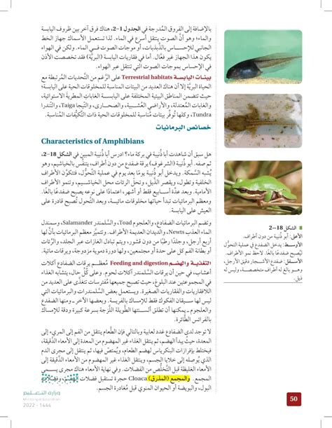 ما هي الهياكل التي تستخدمها البرمائيات للحفاظ على توازنها المائي