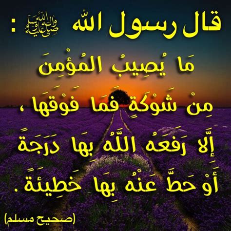 ما هي صحة حديث عن الصبر في حر المدينة وبرودها في الجنة؟  - موقع ترينداتي