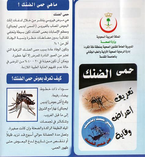 ما هي محاذير علاج حمى الضنك بالأعشاب؟ ما هي محاذير علاج حمى الضنك بالأعشاب؟
