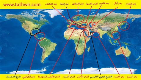 ما هي نسبة سطح الأرض المغطاة بالمحيطات والبحار؟