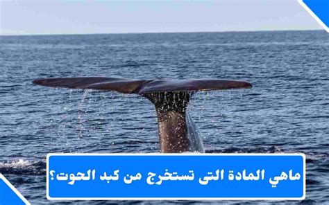 مادة تستخرج من كبد الحوت وتستخدم في صنع أجود أنواع العطور