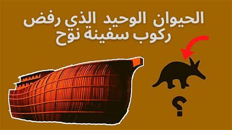 ماهو الحيوان الذي لم يصعد سفينة نوح - سؤال وجواب ماهو الحيوان الذي لم يصعد سفينة نوح - سؤال وجواب