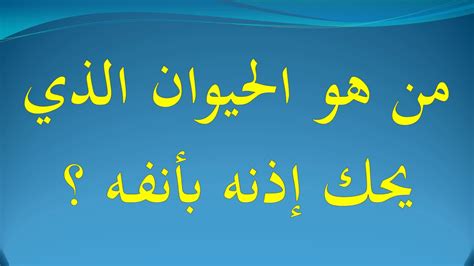 ماهو الشي الذي يحك أذنه بأنفه ماهو الشي الذي يحك أذنه بأنفه