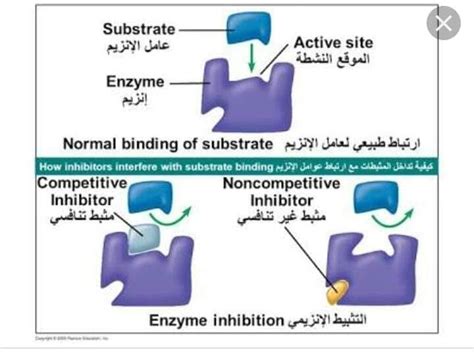 مثبطات الإنزيم (NNRTIs)