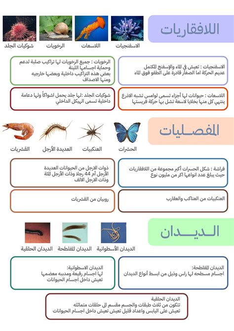 مجلد عن اللافقاريات للصف الرابع pdf للطباعة مجلد عن اللافقاريات للصف الرابع pdf للطباعة