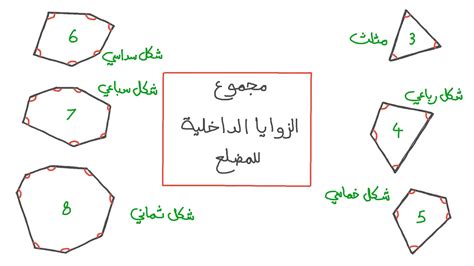 مجموع أبعاد الزوايا الداخلية للسباعي المنتظم متساوٍ.