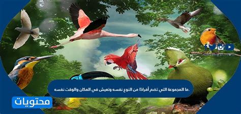 مجموعة تضم أفرادًا من نفس النوع يعيشون في نفس المكان والزمان.