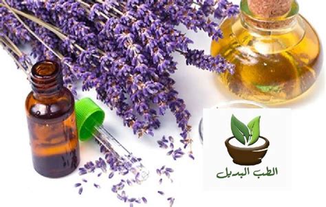 محاذير عند استخدام عشبة الخزامى