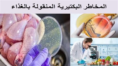 محاربة الالتهابات البكتيرية المنقولة بالغذاء